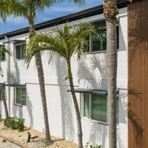 a row of palm trees next to a building