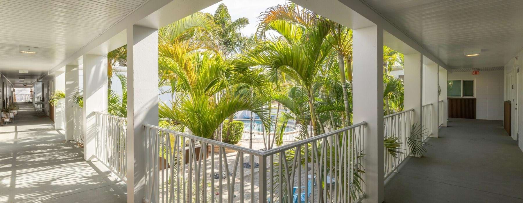 a walkway with trees and a railing